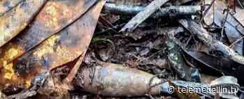 Ejército destruyó minas antipersonales en Huila - Telemedellín