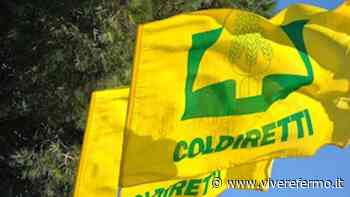 Coldiretti Ascoli Fermo, fotovoltaico sui tetti e terreni salvi: entro il 27 ottobre le domande per i finanziamenti - Vivere Fermo