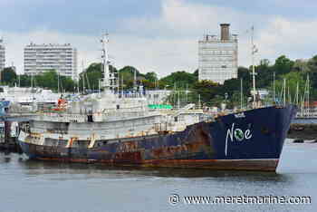 Noé a quitté Lorient pour une nouvelle vie - Meretmarine.com