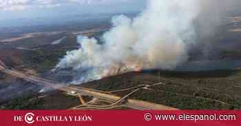 El último incendio en Zamora que llegó a nivel 2 de peligrosidad fue provocado - EL ESPAÑOL