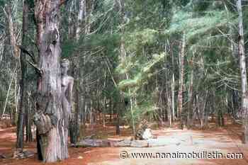 Fading into the Tofino forest: International artist to make statement with camouflage bodypainting