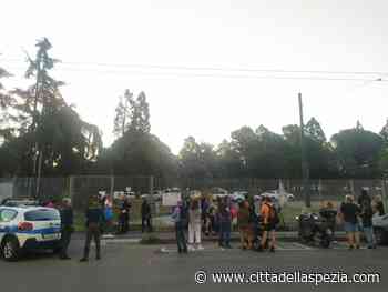 All’alba sono scattate le operazioni di cattura dei cinghiali. Lacrime tra gli animalisti in presidio - CittaDellaSpezia