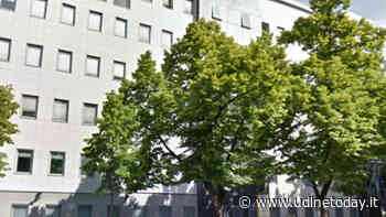 In coda dall'alba fuori dalla Questura per il rinnovo del permesso di soggiorno, l'odissea di una famiglia - UdineToday