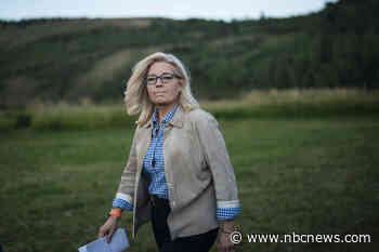 Liz Cheney won’t run as an independent for president because she’s too smart