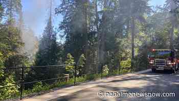 Suspected encampment catches fire at Nanaimo's Bowen Park - Nanaimo News NOW