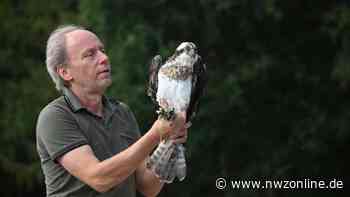 Wildtierauffangstation Rastede sucht nach Förderern - NWZonline
