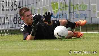 VfL Wittekind Wildeshausen schlägt Falke Steinfeld mit 4:0 - FuPa