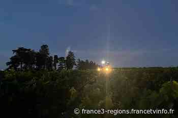 REPORTAGE. A Aigues-Mortes, les producteurs des vins Sable de Camargue commencent leurs vendanges nocturnes - France 3 Régions