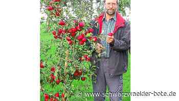 Anzeige - Obstbauern rechnen mit gutem Ertrag - Schwarzwälder Bote