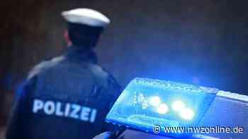 Polizeibericht: SUV kracht in Elsfleth auf Audi – Diebe räumen in Lemwerder Lkw aus - NWZonline