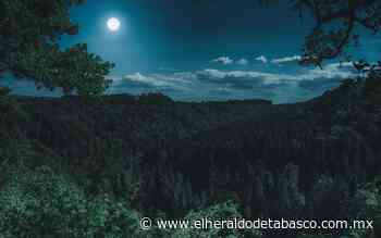 La voz siniestra en Macuspana - El Heraldo de Tabasco