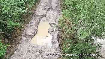 Radweg bei Bizerba - Biker müssen in Balingen durch Wasserlachen - Schwarzwälder Bote