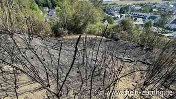 Feuerwehr kann Brand unterhalb der Burg schnell löschen: Ursache unklar - Rhein-Zeitung
