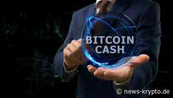 Bitcoin Cash (BCH) macht heute einen großen Sturzflug, aber wird es sich schnell erholen? - Krypto News Deutschland