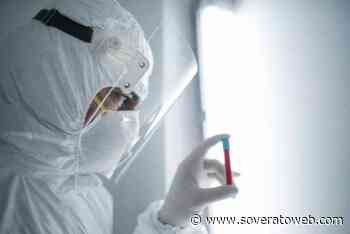 Scoperto nuovo virus: focolaio di “influenza del pomodoro” in India - Soverato Web