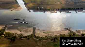 Niedrigwasser im Rhein: «Eine Entwarnung kann noch nicht gegeben werden»