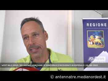 MESTRE | WEST NILE VIRUS: 30 CASI NEL VENEZIANO, 15 SONO GRAVI E RICOVERATI IN OSPEDALE - ANTENNA TRE