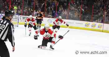 Griffin back with Cyclones - ECHL.com