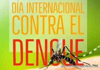 Exhortan a no bajar la guardia ante en Dengue - Ensenada.net