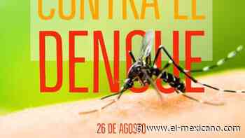 Llama Gobierno de Ensenada a reforzar medidas preventivas vs el dengue - El Mexicano
