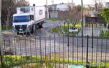 Ensenada: un camión atropelló a un perro, siguió de largo y causó la indignación de todo el vecindario - LA NACION