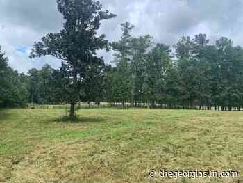 Milton's newest park is a 21-acre pasture - The Georgia Sun