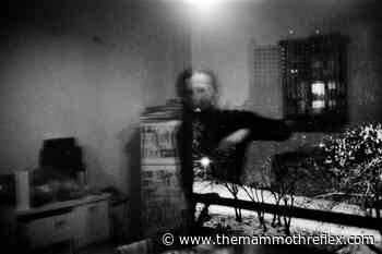 Grenze Arsenali Fotografici 2022: tutte le mostre da vedere a Verona - TheMammoth'sReflex