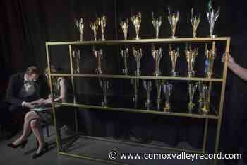 Canadian Screen Awards makes next year’s acting categories gender neutral - Comox Valley Record