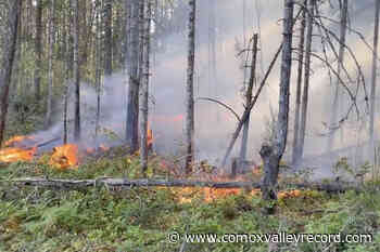Crews contain wildfire near Nanaimo River - Comox Valley Record