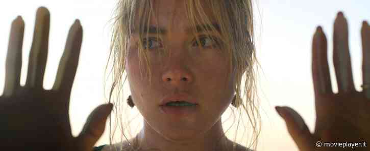 Florence Pugh: i fan dell'attrice contro Olivia Wilde per il video in cui chiede a Shia LaBeouf di tornare - Movieplayer.it