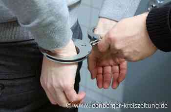 Nach Taxifahrt in Leonberg - Drei Männer fliehen zu Fuß über A 8 - Leonberger Kreiszeitung