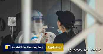 Have China’s new entry rules made travel easier? - South China Morning Post