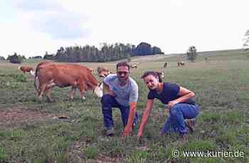 Hitzesommer 2022 - Rund um Bayreuth kämpfen Landwirte und Gemüsebauern gegen Dürre - Nordbayerischer Kurier