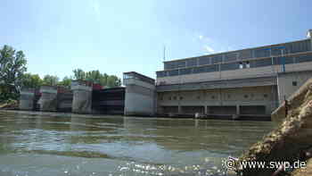 Donaupegel in Ulm: Achtung Bootsfahrer: Donau wird für eine Weile abgesenkt - SWP