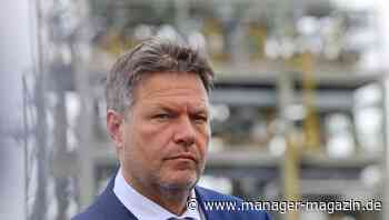 Robert Habeck will Strompreis vom Gaspreis entkoppeln