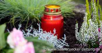 Folge der Dürre: Stadt Merzig warnt vor Gefahr durch Astbruch - Saarbrücker Zeitung