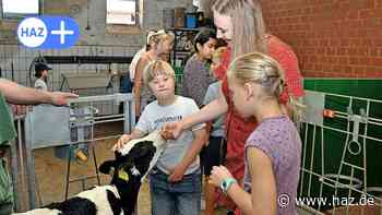 Sehnde: Inklusives Feriencamp: Kinder erleben auf Hof Dröse Kühe hautnah - HAZ