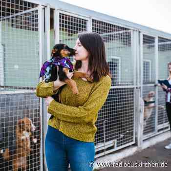 Einweihung neues Hundehaus im Tierheim Mechernich - radioeuskirchen.de