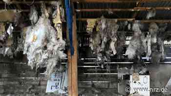 Große Radtour gegen Atomkraft hält in Kalkar und Wissel - NRZ News