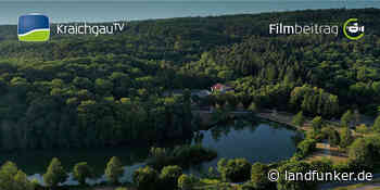 TIEFENBACH | Dem Kreuzbergsee geht es nicht gut - Landfunker