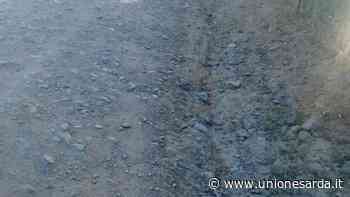 Sestu, agricoltori e pendolari: “Sistemate la strada di Su Leunaxiu” - L'Unione Sarda.it - L'Unione Sarda.it