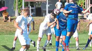 Fußball Verbandsliga - VfL Nagold erwartet Oberliga-Absteiger TSV Ilshofen - Schwarzwälder Bote