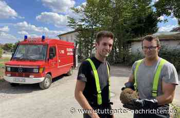 Tierischer Einsatz in Affalterbach: Feuerwehr rettet Igel aus misslicher Lage - Stuttgarter Nachrichten