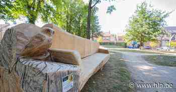Nieuwe zitbanken van Amerikaanse eiken uit Liedekerke- en Hertigembos - Het Laatste Nieuws