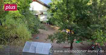 Kinderbetreuung liegt in Lorch nun in einer Hand - Wiesbadener Kurier