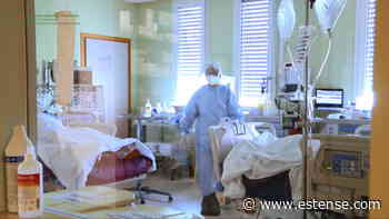 Covid, nel Ferrarese un decesso e cinque ricoveri | estense.com Ferrara - Estense.com