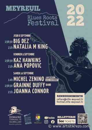 Meyreuil Blues Roots festival 2022 : le blues féminin à l'honneur pour cette 4e édition ! - Artistik Rezo