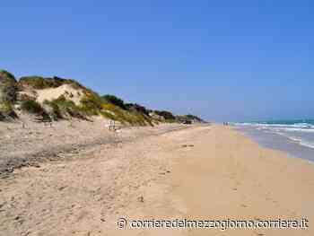 Brindisi, lettini e ombrelloni abusivi nel parco delle Dune costiere: scattano i sequestri - Corriere del Mezzogiorno
