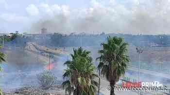 Sterpaglie in fiamme, fumo invade corsie: disagi sulla statale Lecce-Brindisi - LeccePrima