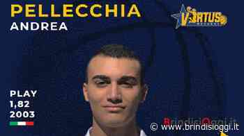 New Virtus Mesagne, ufficiale la firma di Andrea Pellecchia - Brindisi Oggi, news Brindisi notizie Brindisi e provincia - BrindisiOggi
